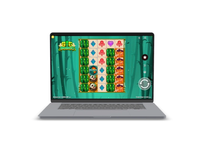 Big Bamboo Desktop History